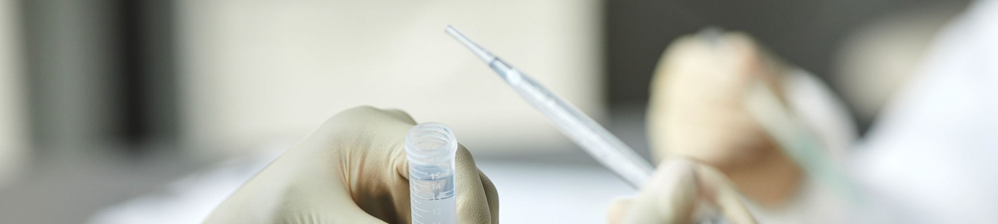 서브비주얼이미지