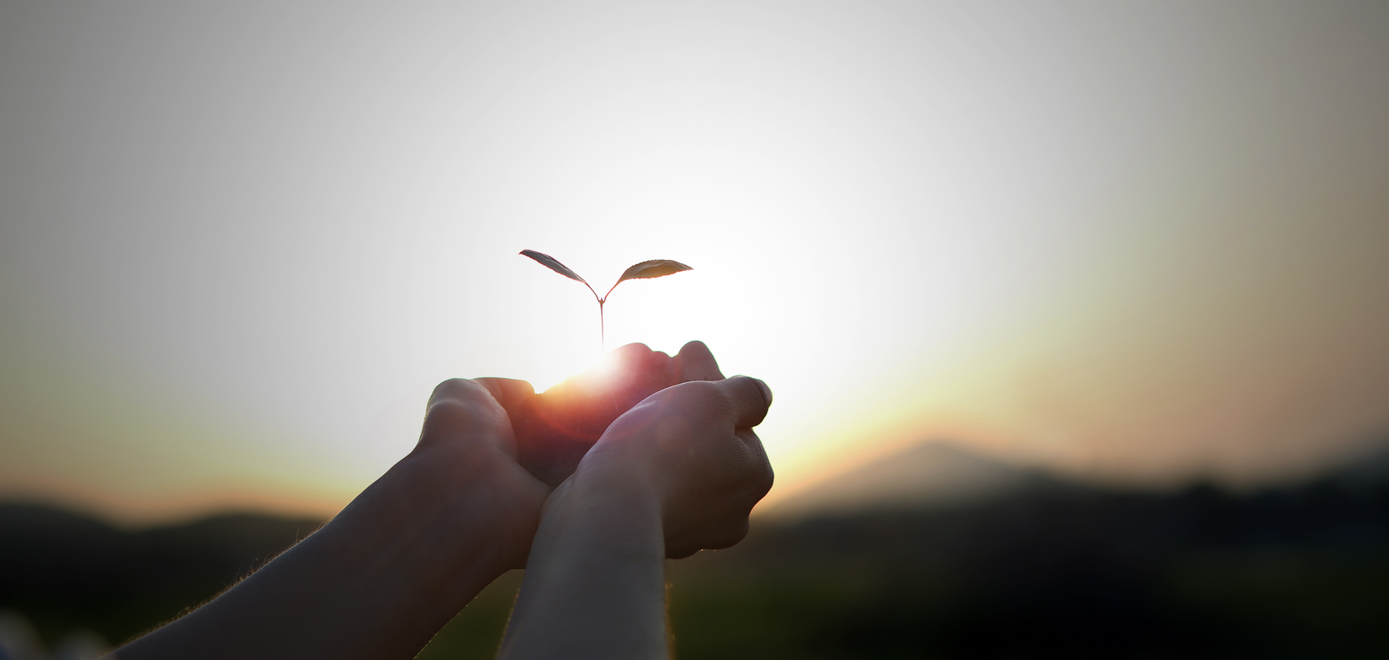 1번 슬라이드 이미지