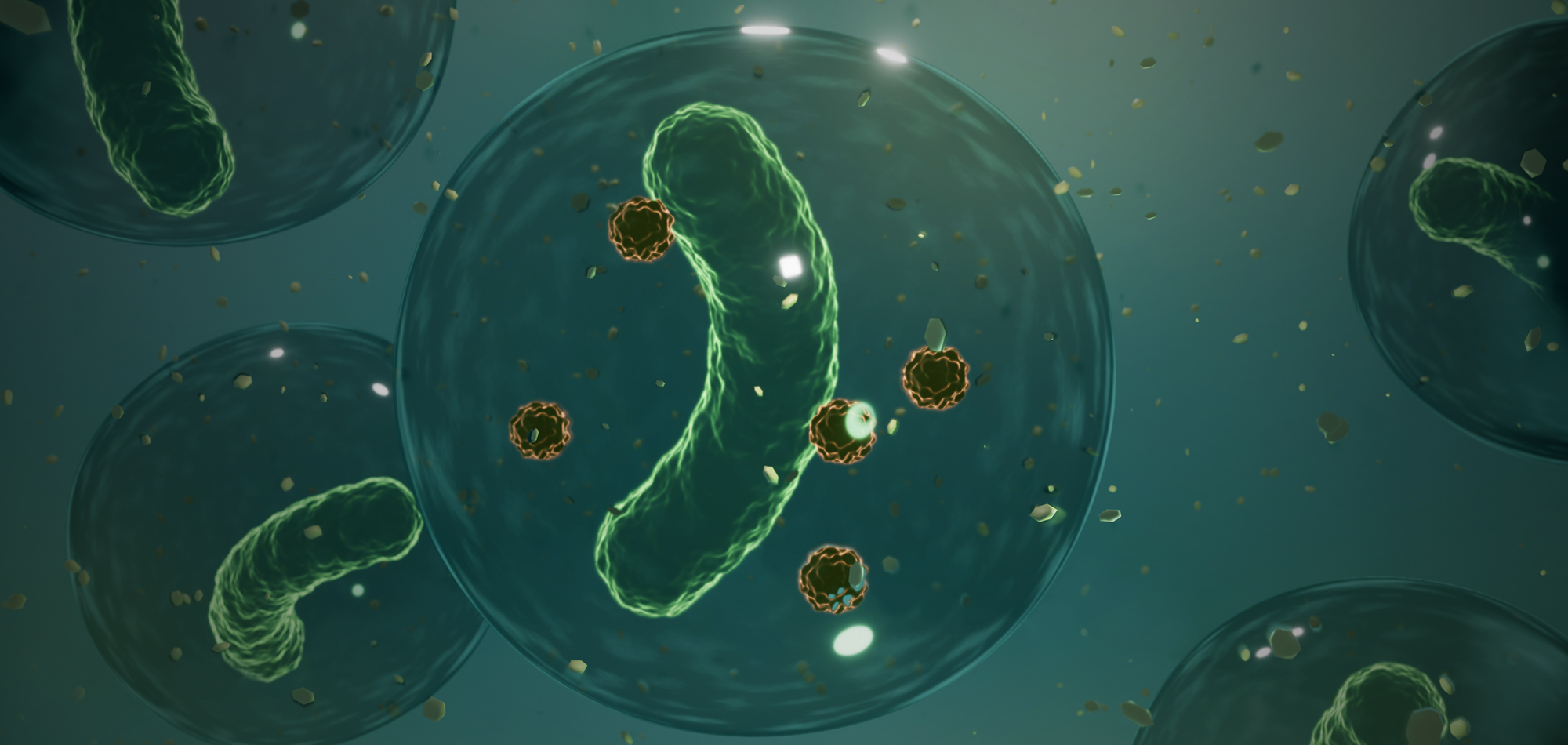 2번 슬라이드 이미지